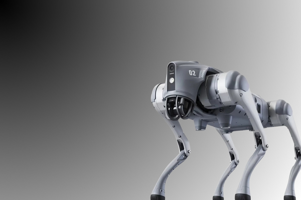 A gray Quadruped Go2 Robot on a gradient background.